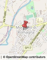 Pelletterie - Dettaglio Morciano di Romagna,47833Rimini