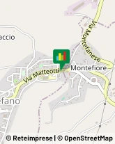 Ristoranti Montefano,62010Macerata