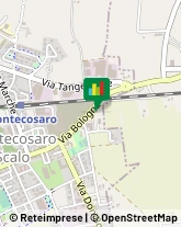 Otorinolaringoiatria - Medici Specialisti Montecosaro,62010Macerata