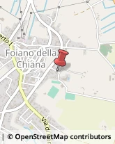 Pneumatici - Commercio Foiano della Chiana,52045Arezzo