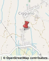 Imballaggi in Legno Civitella in Val di Chiana,52041Arezzo