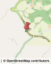 Ristoranti Serrungarina,61030Pesaro e Urbino