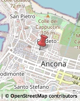 Erboristerie Ancona,60121Ancona
