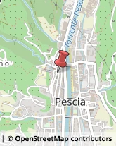 Agenzie Immobiliari Pescia,51017Pistoia