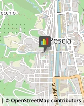 Scuole Pubbliche Pescia,51017Pistoia