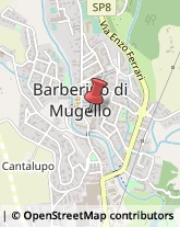 Consulenza Commerciale Barberino di Mugello,50031Firenze