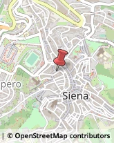 Vendite per Corrispondenza,53100Siena