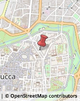 Parrucchieri,55100Lucca