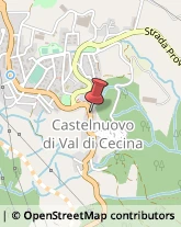 Alimentari Castelnuovo di Val di Cecina,56041Pisa