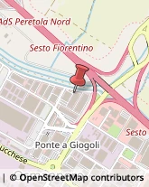 Pelletterie - Ingrosso e Produzione,50019Firenze