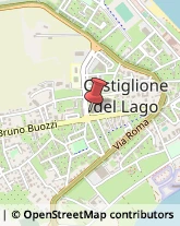 Libri, Fumetti e Riviste Castiglione del Lago,06061Perugia