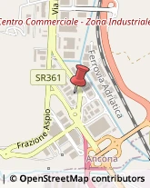 Autogru - Noleggio,60131Ancona