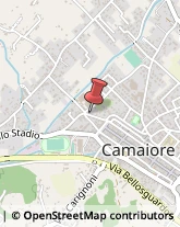 Locande e Camere Ammobiliate Camaiore,55041Lucca