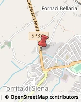 ,53049Siena