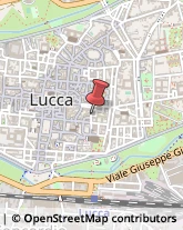 Pubblicità - Agenzie e Studi,55100Lucca