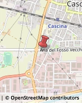 Spedizioni Internazionali Cascina,56021Pisa