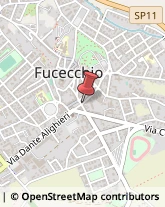 Detersivi e Detergenti Fucecchio,50054Firenze