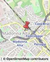 Notai Perugia,06127Perugia