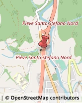 Aziende Agricole Pieve Santo Stefano,52036Arezzo