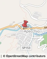 Piante e Fiori - Dettaglio Apecchio,61042Pesaro e Urbino