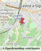 Giardinaggio - Servizio Lastra a Signa,50055Firenze