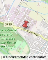 Agenti e Rappresentanti di Commercio,51039Pistoia