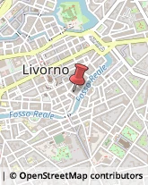 Paghe, Contributi e Stipendi Livorno,57123Livorno