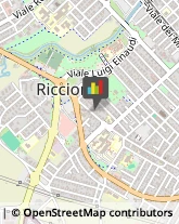 Riso Riccione,47838Rimini