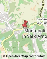 Studi Medici Generici Montopoli in Val d'Arno,56020Pisa