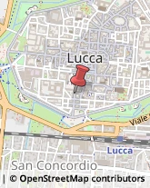Partiti e Movimenti Politici Lucca,55100Lucca