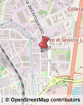 Pubblicità - Agenzie e Studi Livorno,57121Livorno