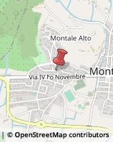 Agenti e Mediatori d'Affari Montale,51037Pistoia