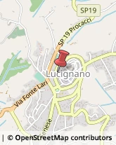 Ristoranti Lucignano,52046Arezzo