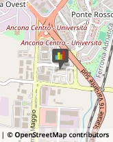 Arredo Urbano Ancona,60131Ancona