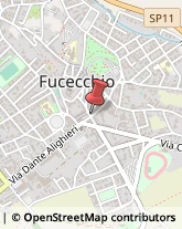 Avvocati Fucecchio,50054Firenze