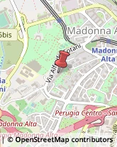 Urologia - Medici specialisti,06128Perugia