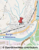 Assicurazioni Borgo a Mozzano,55023Lucca