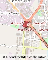 Trasporti Ancona,60131Ancona