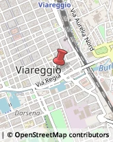 Via Luigi Galvani, 19/B,55049Viareggio