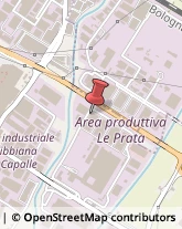 Trasporti Refrigerati,50013Firenze