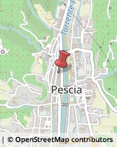 Maglieria - Produzione Pescia,51017Pistoia