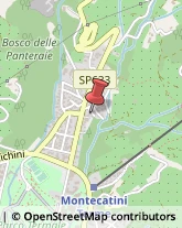 Agenti e Rappresentanti di Commercio Montecatini Terme,51016Pistoia