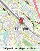 Locali, Birrerie e Pub Poggibonsi,53036Siena