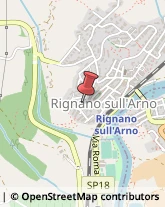 Biblioteche Private e Pubbliche Rignano sull'Arno,50067Firenze