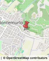 Articoli per Ortopedia Montemurlo,59013Prato