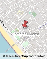 Tappeti Orientali e Persiani Forte dei Marmi,55042Lucca