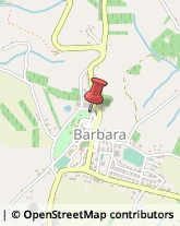 Parrucchieri Barbara,60010Ancona