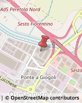 Pelletterie - Dettaglio Sesto Fiorentino,50019Firenze