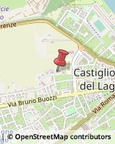 Licei - Scuole Private Castiglione del Lago,06061Perugia