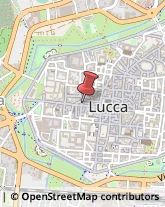 Sartorie Lucca,55100Lucca